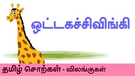 Animals Spelling In Tamil 'ஒட்டகச்சிவிங்கி' - Kids Learning Video In ...