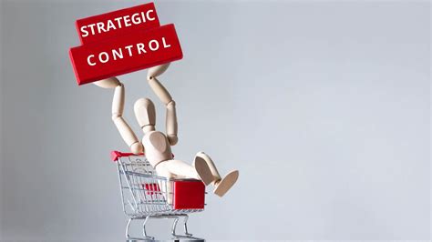 Image result for Strategic Control Types