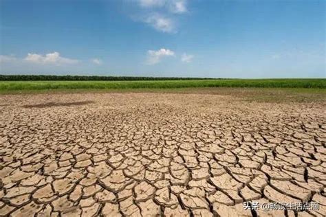 大旱之年，鄱阳湖的困境与抉择_腾讯新闻