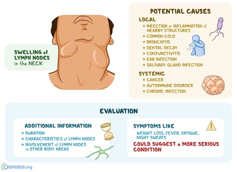 Bilateral Cervical Lymphadenopathy & Neck Nodes | Osmosis