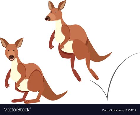 Hopping Kangaroo Pattern 的图像结果