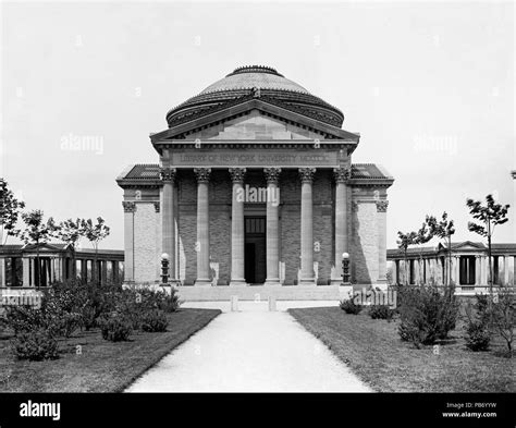 Image result for NYU Library