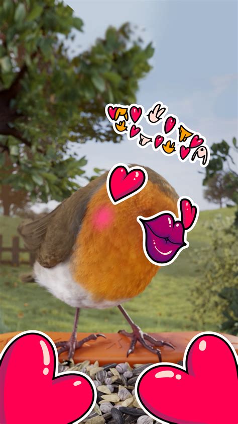 Image result for Bird Addiction Animation