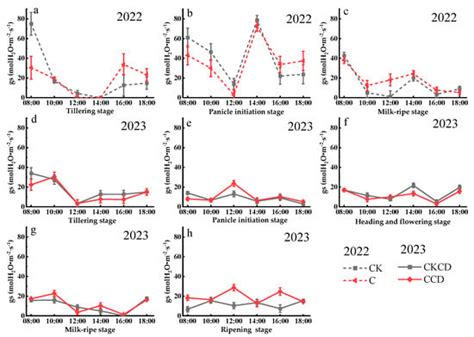 Effects of Paddy Rain-Flood Storage on Rice Growth Physiological ...