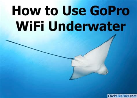 Image result for Free Editing Software for GoPro