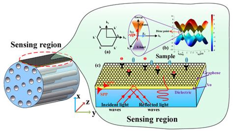 Highly Sensitive Graphene-Au Coated Plasmon Resonance PCF Sensor