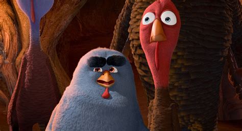 Download Jenny And Reggie From Free Birds Wallpaper | Wallpapers.com