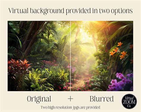 Meeting Background 的图像结果