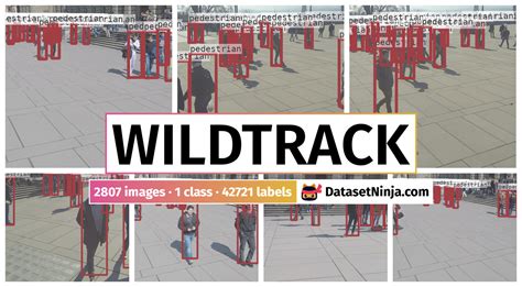Wildtrack - Dataset Ninja
