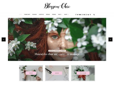 Chic Lite WordPress Theme 的图像结果