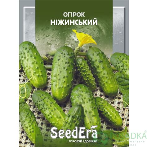 Огурец Нежинский - купить в Украине