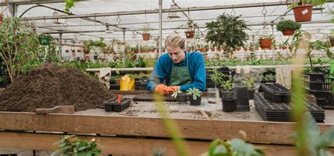 Vegetable Gardening Tips At Home