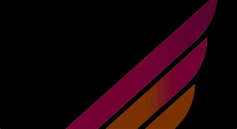 The PMD Foundation on LinkedIn: What is Pelizaeus-Merzbacher-Like Disease (PMLD)? What are its…