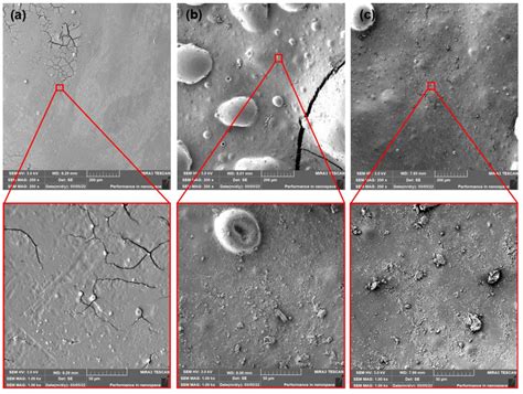 The Influence of Plasticizers and Accelerated Ageing on Biodegradation ...