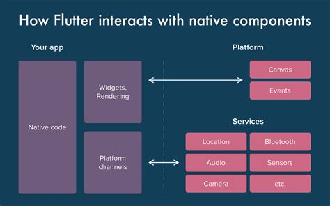 Native Script vs Flutter 的图像结果