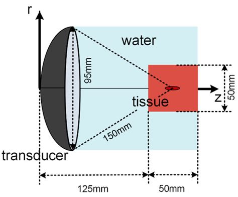 The Effects of Energy on the Relationship between the Acoustic Focal ...