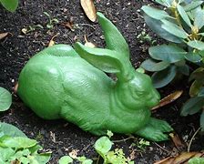 Image result for Rabbit Dressed as Baby