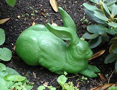 Image result for Rabbit in the Spring