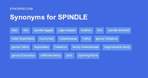 Spindle Synonym 的图像结果