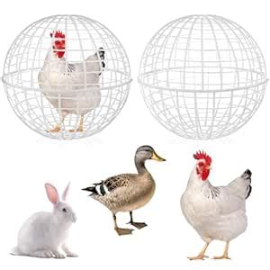 Buy Ninehaoou 2 Pcs Chicken Ball Cage 19.7 Inch Movable Rabbit Hutch ...