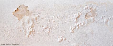 What Causes Damp Walls and How to Prevent Dampness?