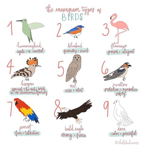 Bird Personality Test Printable - Printable And Enjoyable Learning