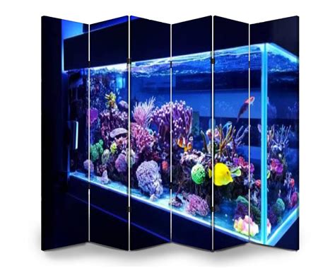 Fish Tank Divider Wall at Mary Reilly blog