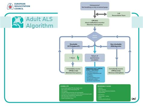 Advanced Trauma Life Support Algorithm 的图像结果
