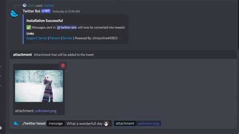 Image result for Python Discord Twitter Bot