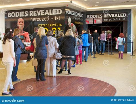 Bodies Revealed Exhibition of Human Dead Bodies Editorial Image - Image of exhibition ...