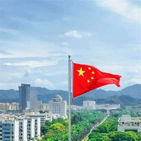 国旗 的图像结果