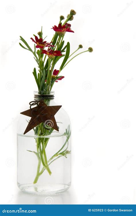 Santana Red stock image. Image of metal, stars, daisies - 625923