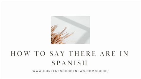 How To Say There Is There Are In Spanish at Matilda Mullan blog