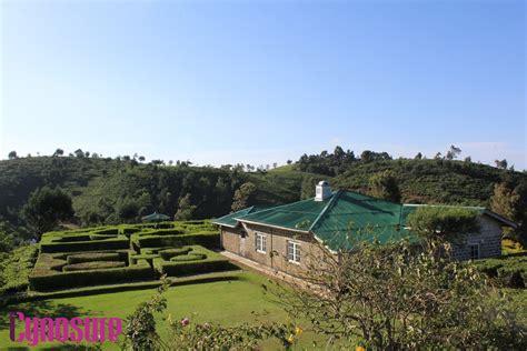 Experience Luxury At The Heritance Tea Factory |Nuwara Eliya, Sri Lanka ...