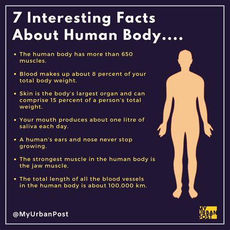 6 fun facts about the human body apollo reach nsr hospitals – Artofit