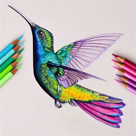 Color Birds Drawing