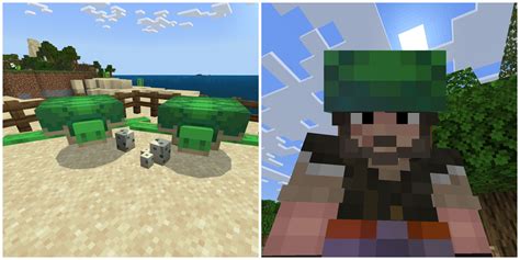 Image result for How to Craft a Turtle Shell in Minecraft