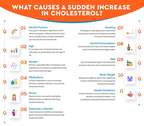 What Causes High Cholesterol