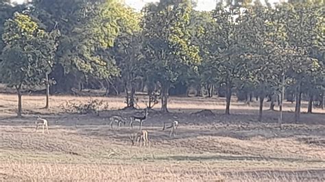 Petition · Stop mining In hilly jungles near villages which consist of ...