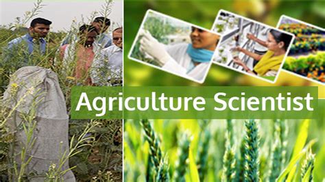 Agriculture Scientist 的图像结果