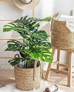 Buy Homesake® Artificial Ornamental Monstera Plant/Green Faux Tropical ...
