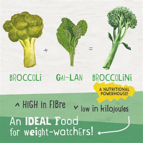 broccolini vs broccoli nutrition