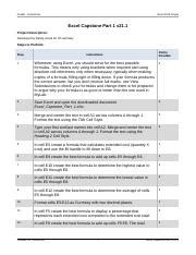 Image result for Excel Capstone Collection