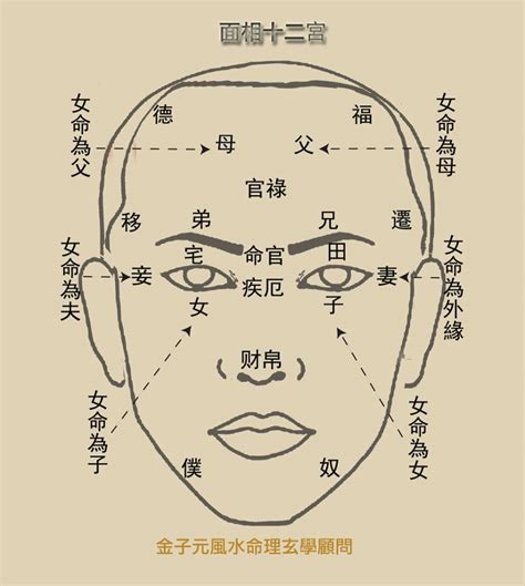 面相十二宮 - 金子元 風水．命理．玄學顧問