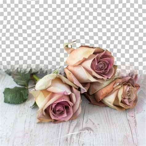 Image result for HTML Roses Background Code Generator