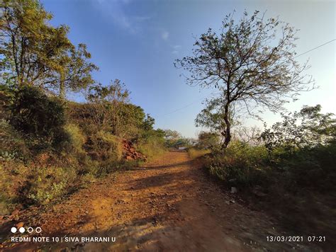 Image result for Redmi Note 10 Camera Test