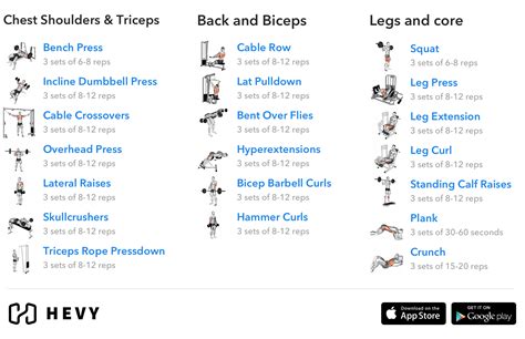 3 Day Split Workout - Complete Guide (2021) - Hevy #1 Workout Tracker