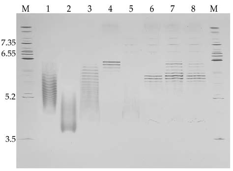 Physicochemical and Biological Characterization of rhC1INH Expressed in ...
