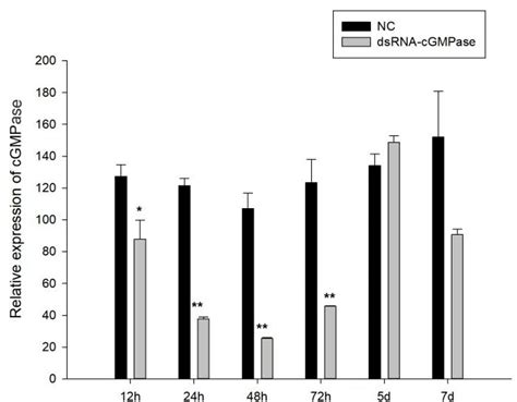 The Inhibitory Effects of RNA-Interference-Mediated Guanylate Cyclase ...