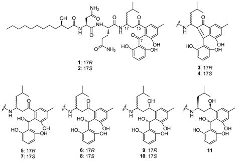 Antitumor Activity of Asperphenin A, a Lipopeptidyl Benzophenone from ...